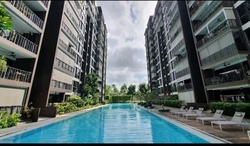 Bellewoods (D25), Condominium #558675941
